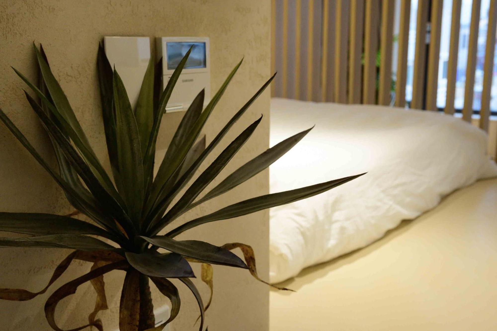 Catnap Guesthouse Puszan Kültér fotó